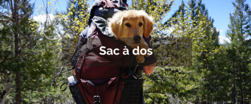 SAC A DOS